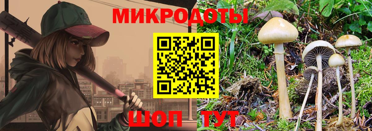 Псилоцибиновые грибы MAGIC MUSHROOMS  Вход с VPN  Баксан  Галлюциногенные грибы ЛСД 