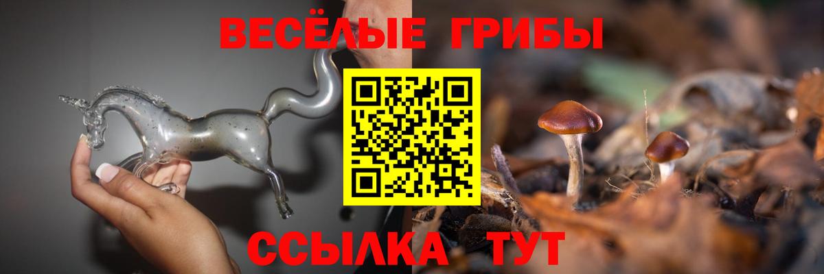 Галлюциногенные грибы Cubensis Баксан